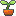 icon57